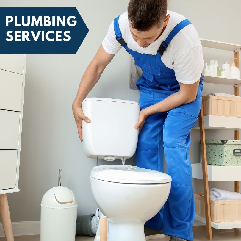 Plumbing Company in Hollister, FL